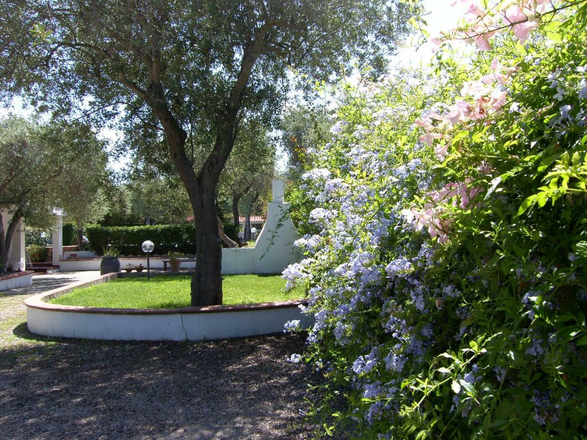 Villa Sarda Sorso Buitenkant foto