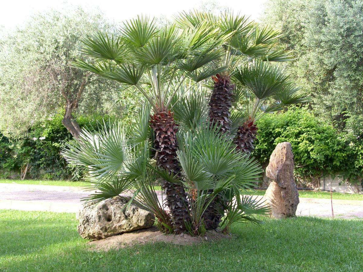 Villa Sarda Sorso Buitenkant foto